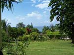 Lush vegetation and sea views are common at many hillside villas